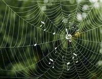 Graphic: Christine Daniloff